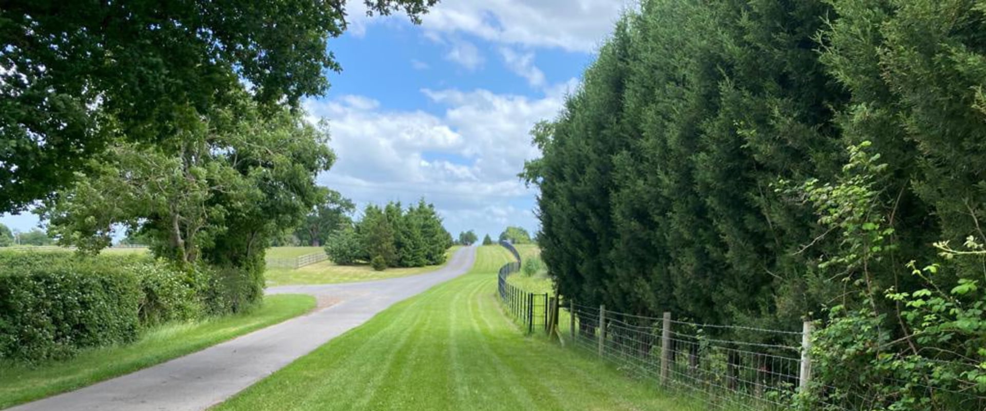 Grounds Maintenance What You Need to Know