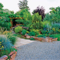 Xeriscaping: A Lush Landscape with Less Water