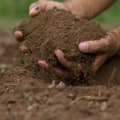 Controlling Soil Compaction in Landscape Design: An Expert's Guide