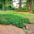 Improving Air Quality and Well-Being in Outdoor Spaces