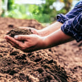 Soil Intelligence: The Hidden Key to Healthier Grounds