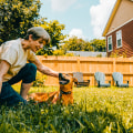 Creating a Safe Environment for Children and Pets: A Guide for Parents and Groundskeepers