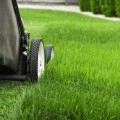 Grounds Maintenance: What You Need to Know