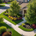 Year-Round Beauty: Seasonal Groundskeeping Tips for a Healthier Landscape