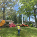 The Hidden Link Between Pest Control Service And Groundskeeping In Beaver Falls Landscapes
