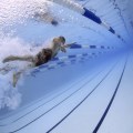 Expert Pool Base Preparation in Pleasanton