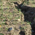 Preventing Soil Erosion: Expert Tips for Groundskeepers