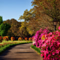 Maintaining A Pristine Landscape In Fountain Hills: The Importance Of Tree Service And Groundskeeping