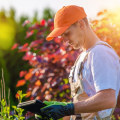 The Importance Of Hiring An Arborist For Groundskeeping In Ellisville, MS
