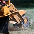 How Stump Removal Supports Healthier Groundskeeping In Kalamazoo