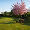 Year-Round Maintenance Made Easy: The Benefits Of Hiring A Lawn Care Service In Northern Virginia For Groundskeeping