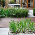 Creating an Attractive Landscape Design with Minimal Water Usage