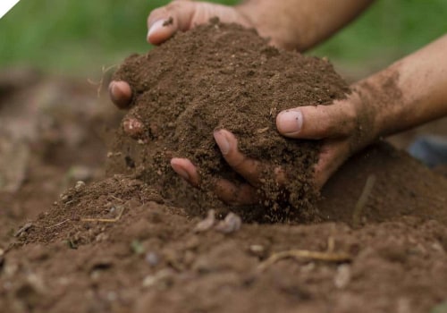 Controlling Soil Compaction in Landscape Design: An Expert's Guide