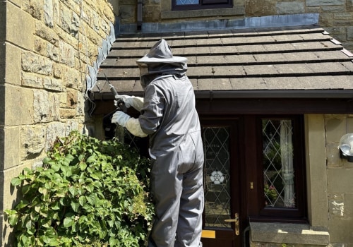 Protect Sheffield Outdoor Spaces: How Groundskeeping Supports Effective Wasp Nest Removal