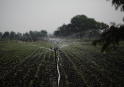 Plan Your Landscape's Watering Needs with Experts in Sarasota