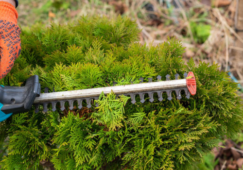 The Role of Groundskeeping in Preserving Safe and Welcoming Outdoor Areas