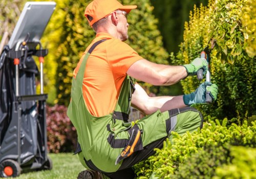 Maintaining Healthy Lawns and Gardens: A Guide for Groundskeepers