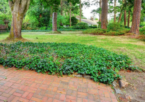 Improving Air Quality and Well-Being in Outdoor Spaces