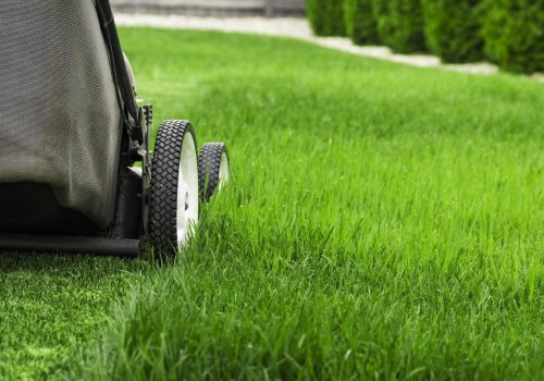Grounds Maintenance: What You Need to Know