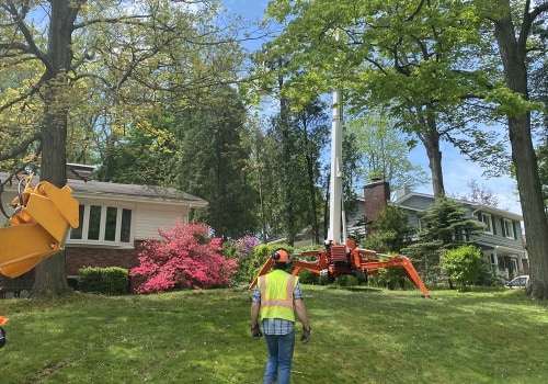The Hidden Link Between Pest Control Service And Groundskeeping In Beaver Falls Landscapes