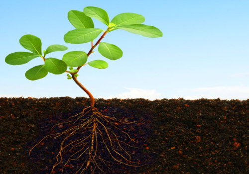 Maintaining Your Irrigation System for Optimal Groundskeeping