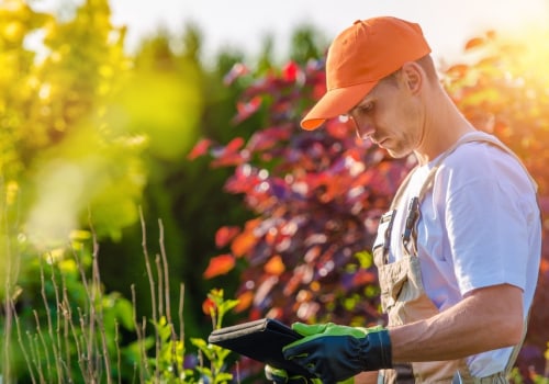 The Importance Of Hiring An Arborist For Groundskeeping In Ellisville, MS