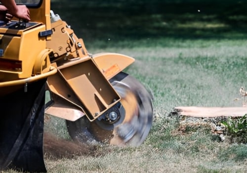 How Stump Removal Supports Healthier Groundskeeping In Kalamazoo