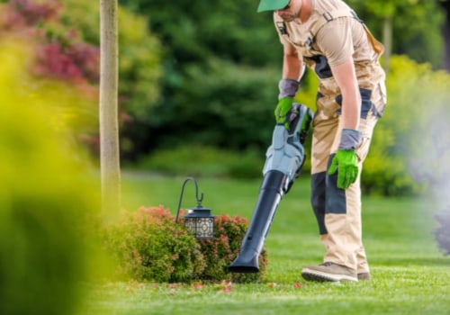 Maintaining Professional Spaces With Groundskeeping and Cleaning Services