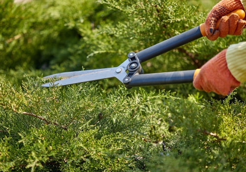 Lawn Care vs. Groundskeeping: What’s the Difference?