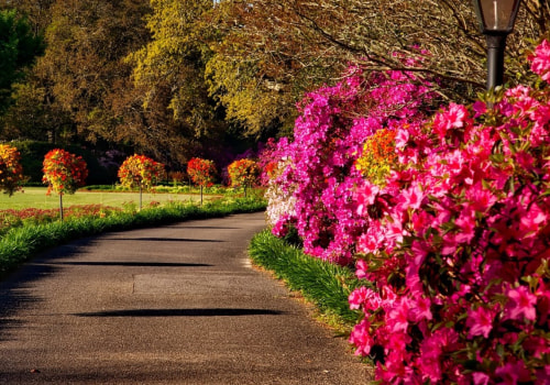 Canopy Chronicles: Exploring The Green Connection Between Groundskeeping And Tree Care In Leesburg, VA