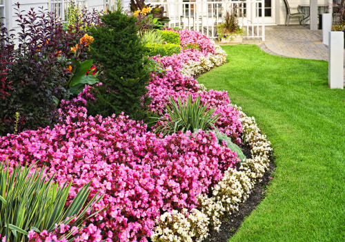 Lawn Care In Orange Park, FL: The Key To Seamless Groundskeeping